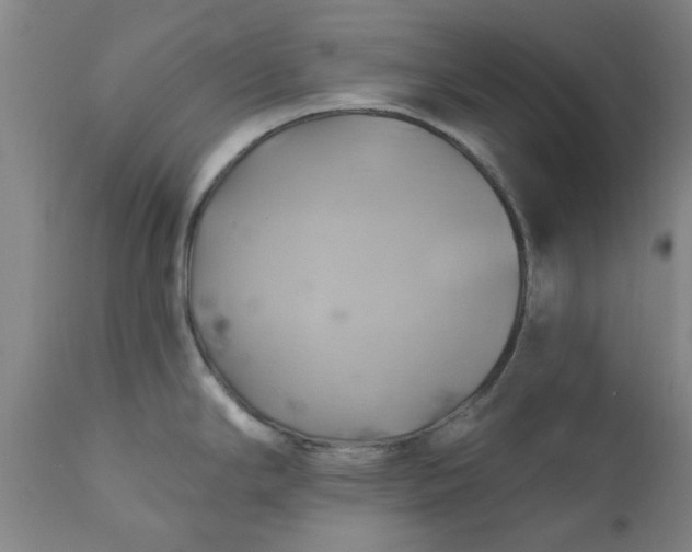 X0000110681294200906261312