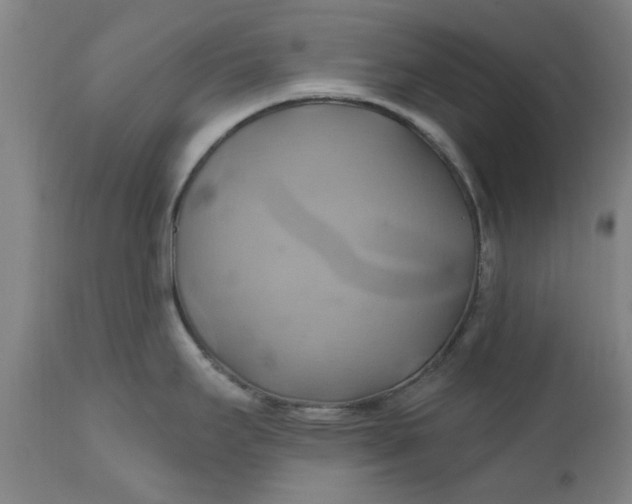 X0000110681295200906261312