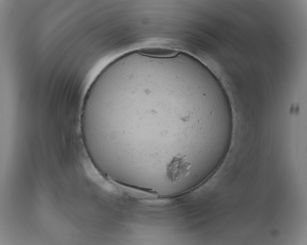 X0000110681296200906261312