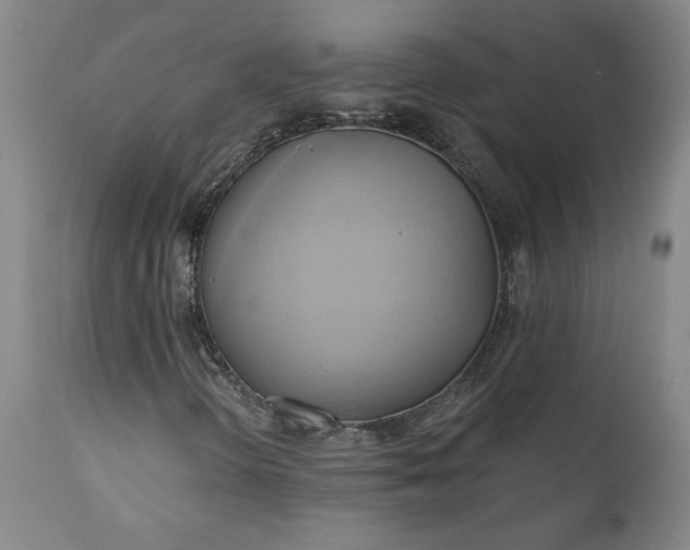 X0000110681298200906261311