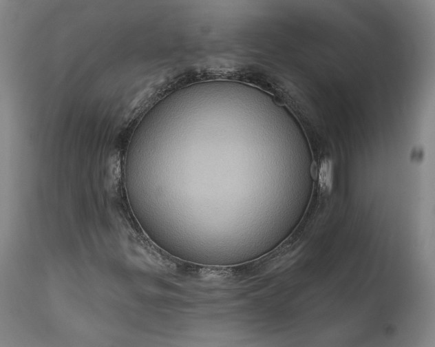 X0000110681299200906261311