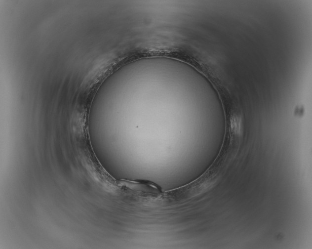 X0000110681300200906261311