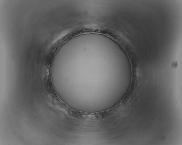 X0000110681302200906261311