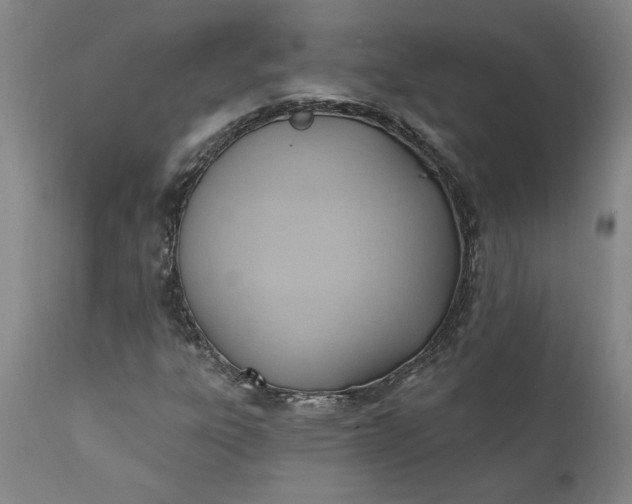 X0000110681303200906261311