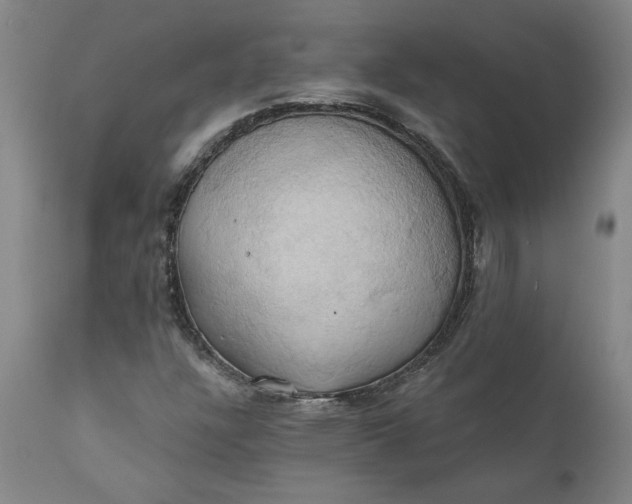 X0000110681304200906261311