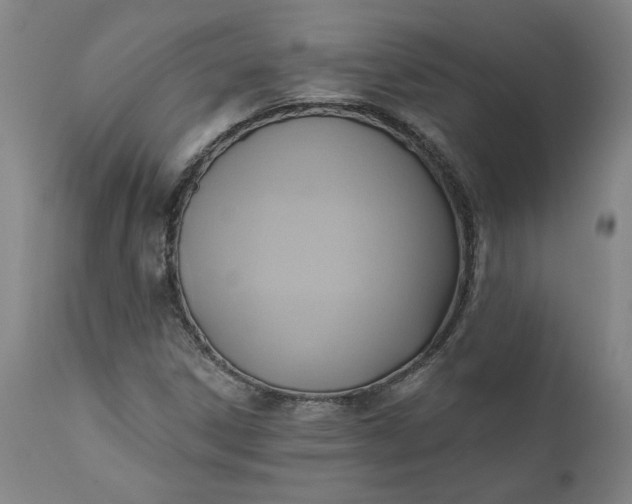 X0000110681306200906261311