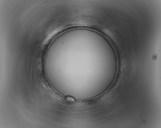 X0000110681307200906261311