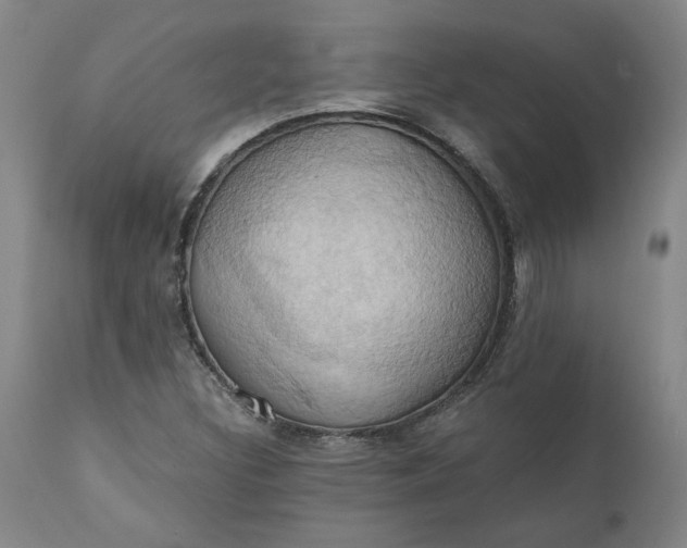 X0000110681308200906261311