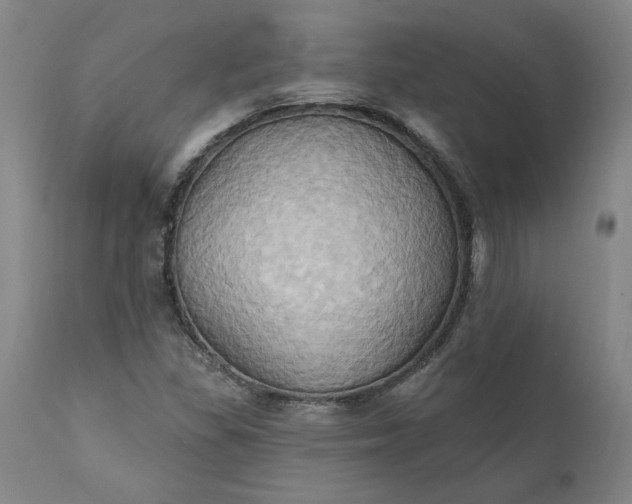 X0000110681309200906261311