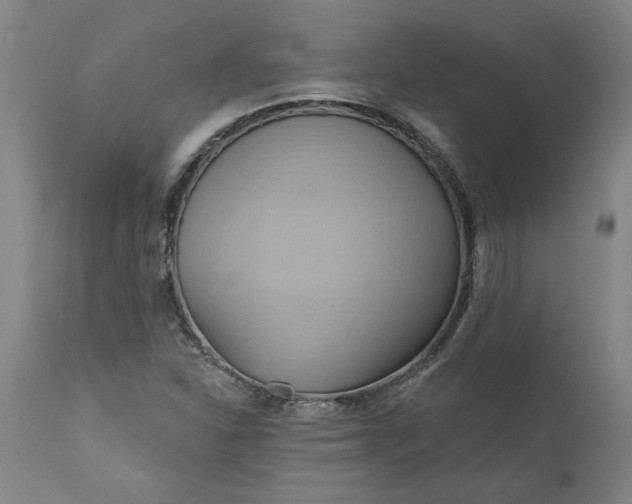 X0000110681310200906261311