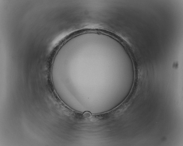 X0000110681311200906261311