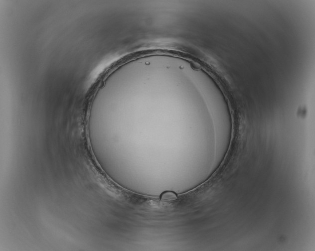 X0000110681312200906261311