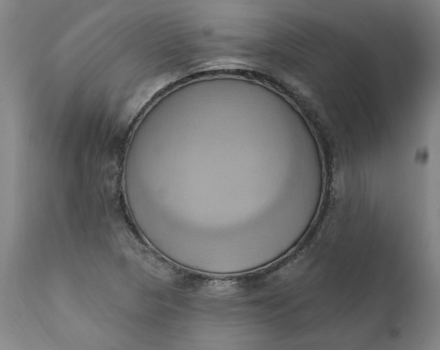 X0000110681313200906261311