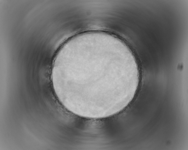 X0000110681314200906261311