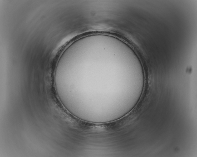 X0000110681315200906261311