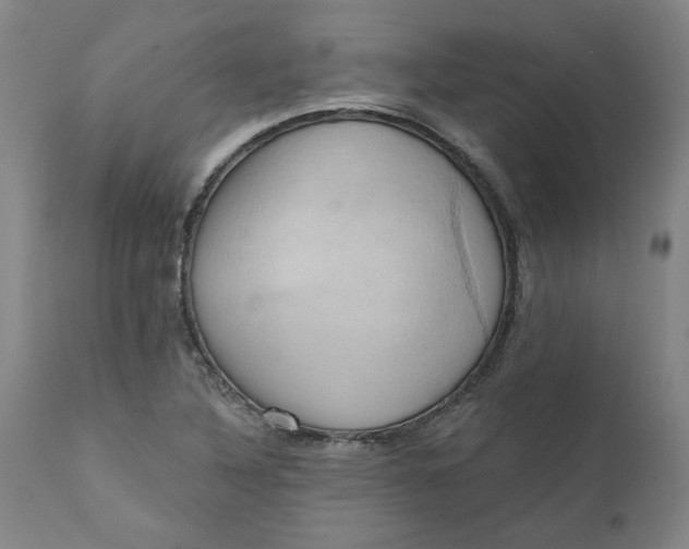 X0000110681316200906261311