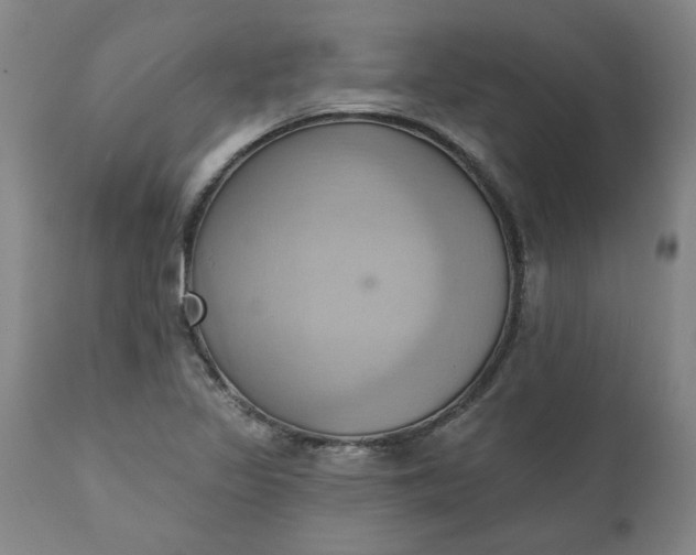 X0000110681317200906261311