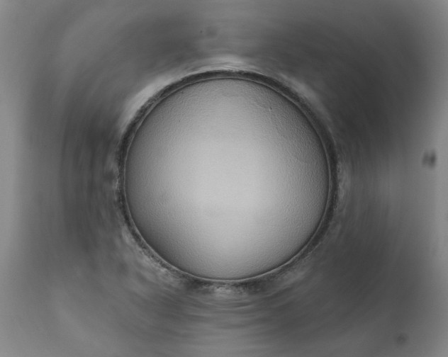 X0000110681318200906261311