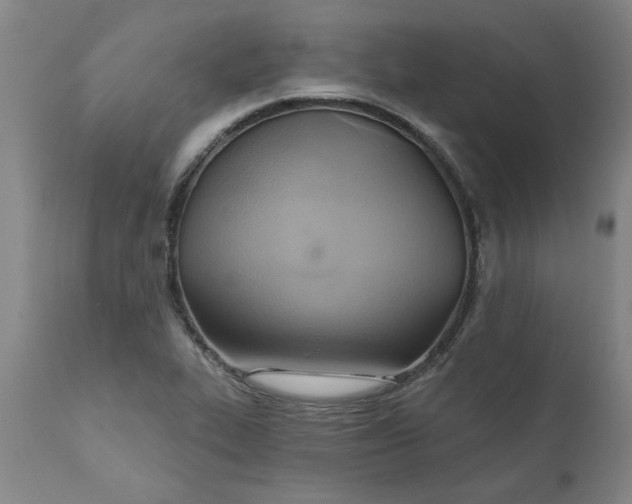 X0000110681319200906261311