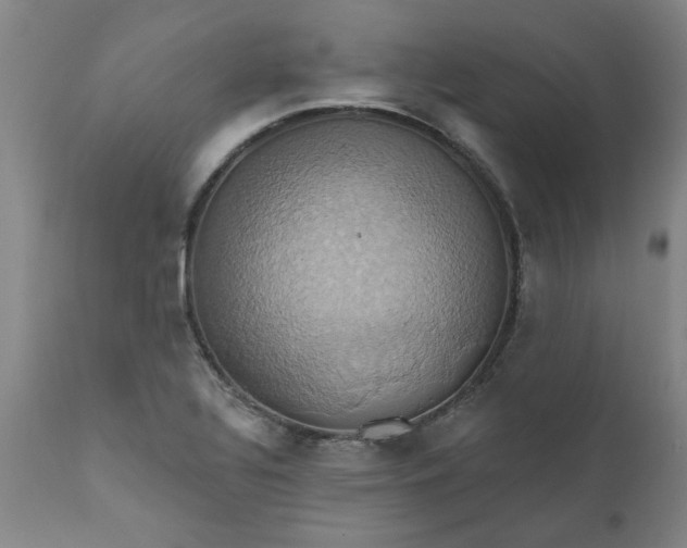 X0000110681320200906261311