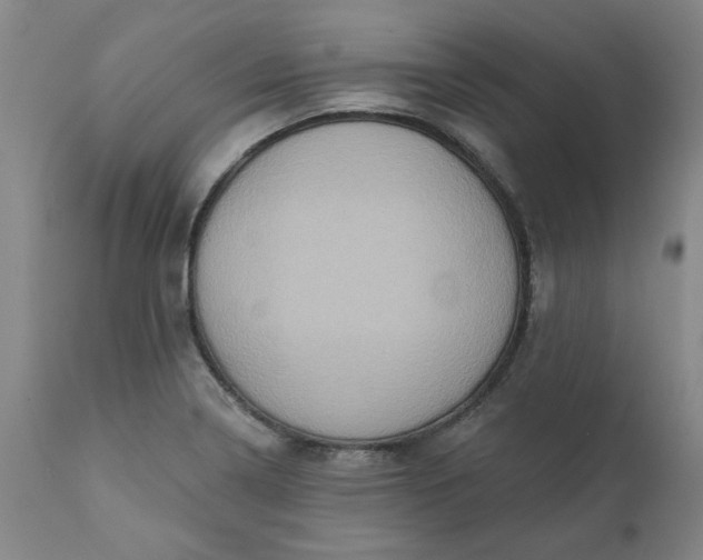 X0000110681322200906261311