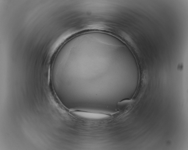 X0000110681323200906261311