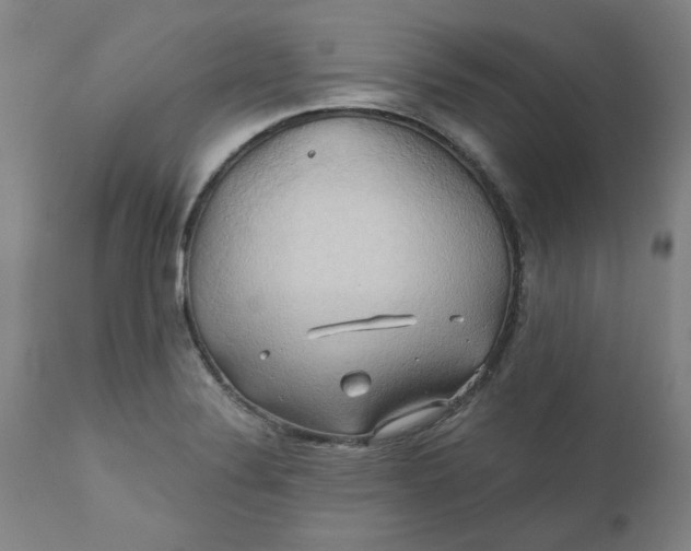 X0000110681324200906261311