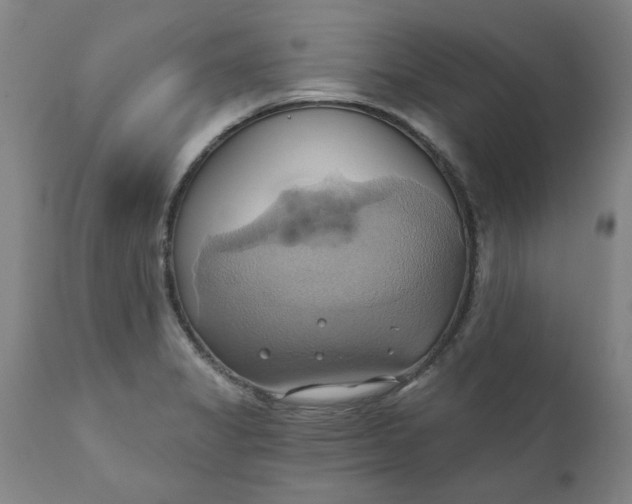 X0000110681325200906261311