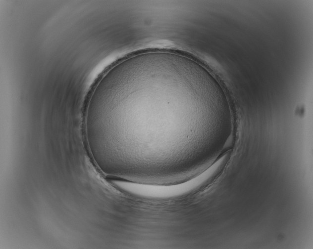 X0000110681326200906261311