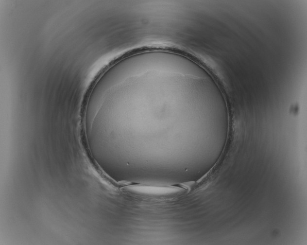 X0000110681327200906261311