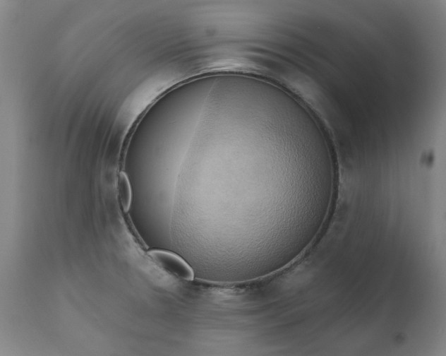 X0000110681330200906261312