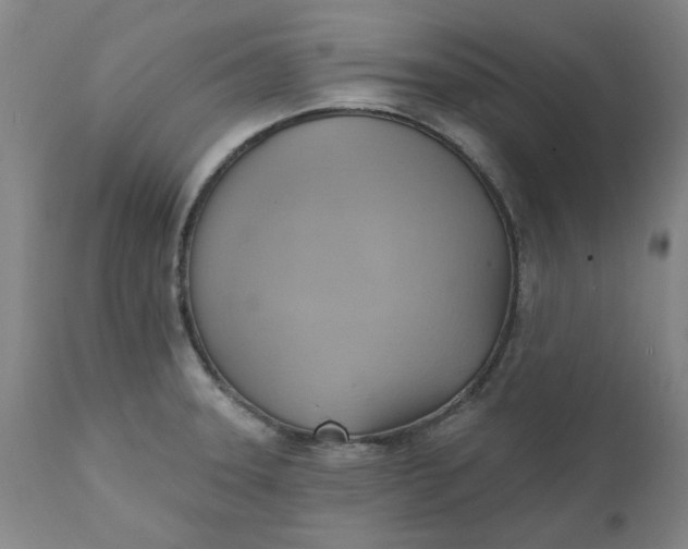 X0000110681331200906261312