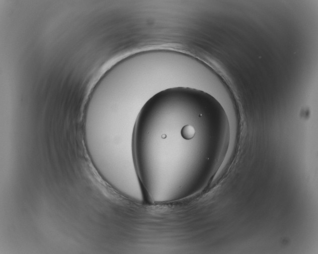 X0000110681332200906261312