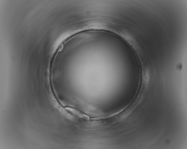 X0000110681334200906261312