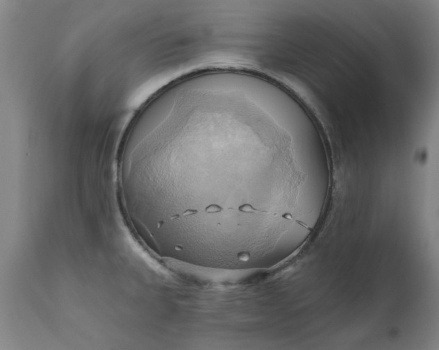 X0000110681335200906261312