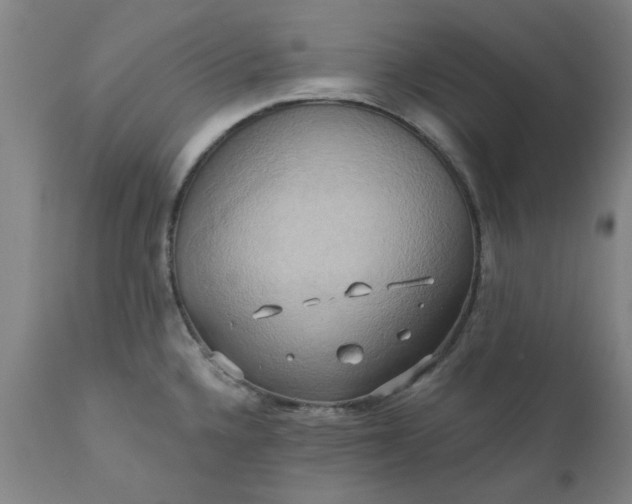 X0000110681336200906261312