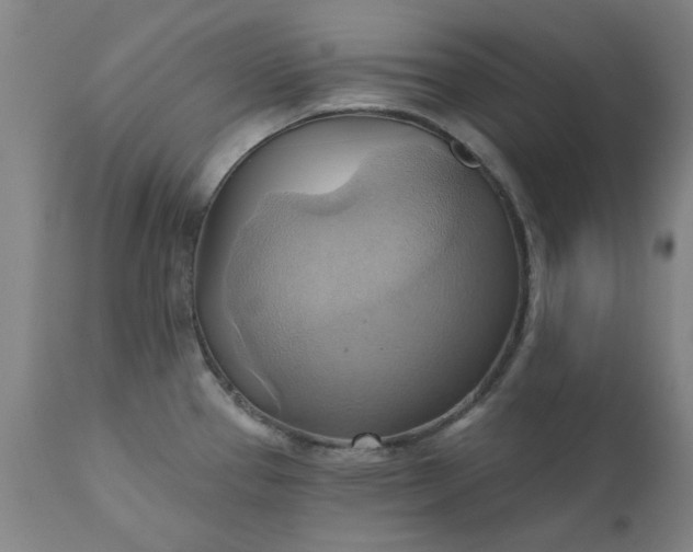 X0000110681337200906261312