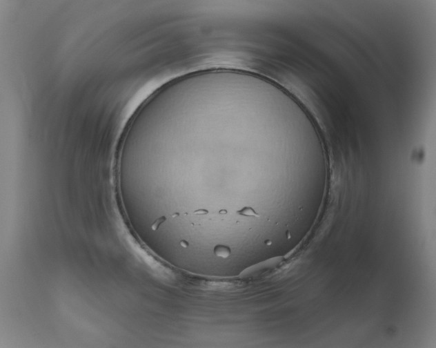 X0000110681339200906261312