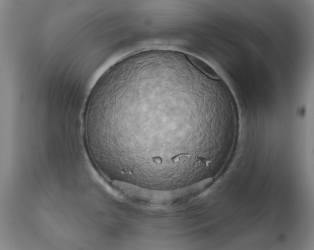 X0000110681341200906261312