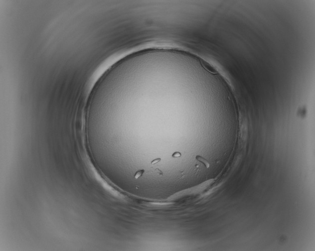 X0000110681343200906261312