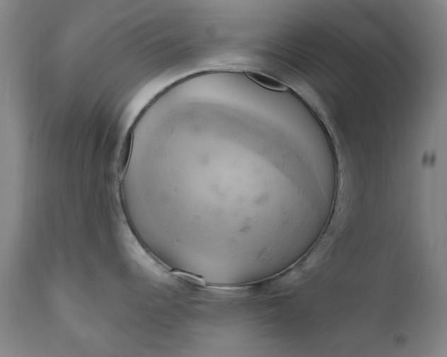 X0000110681344200906261312