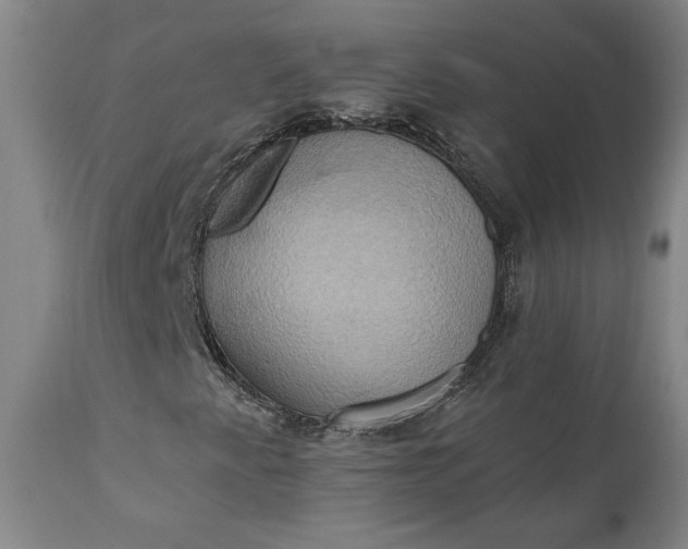 X0000110681345200906261311