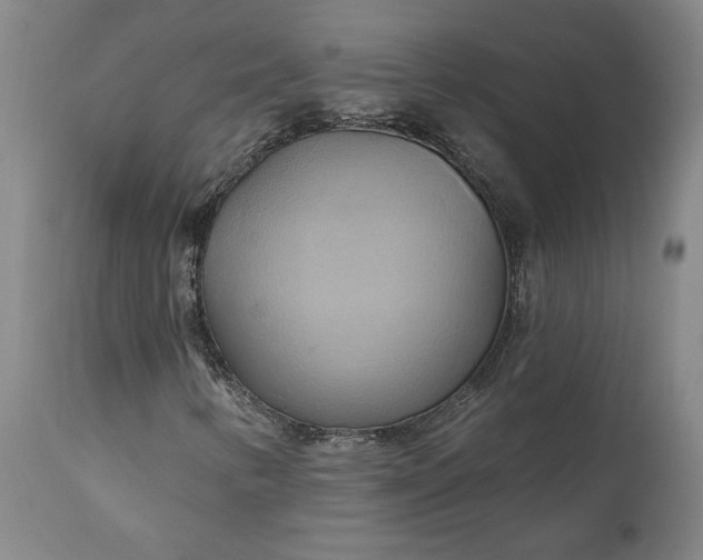 X0000110681346200906261311