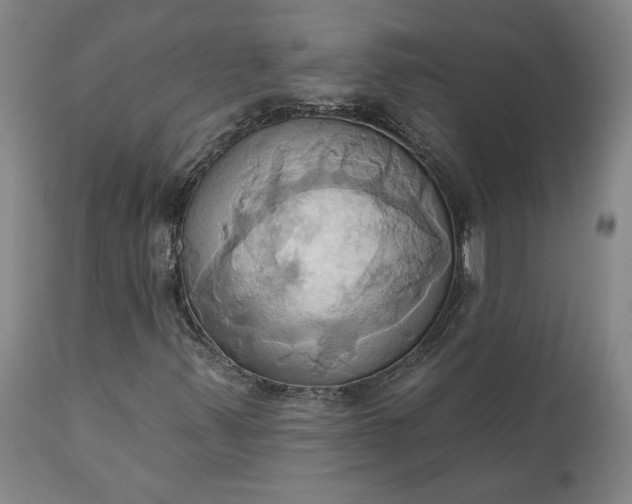 X0000110681347200906261311