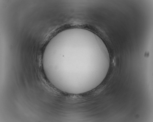 X0000110681348200906261311