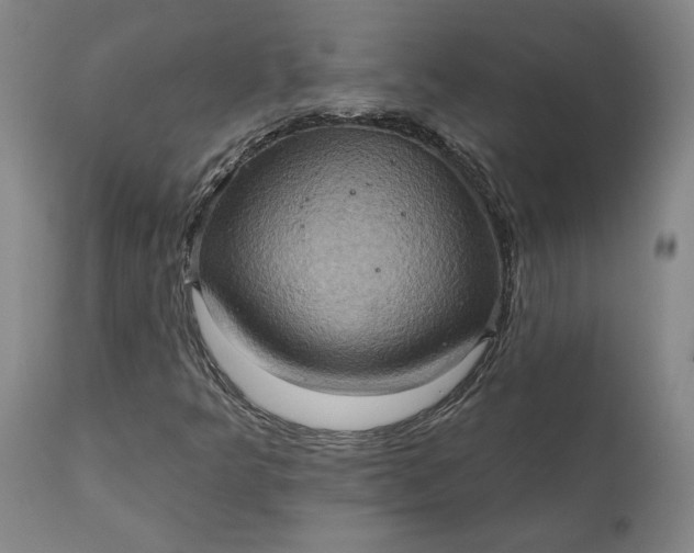 X0000110681349200906261311