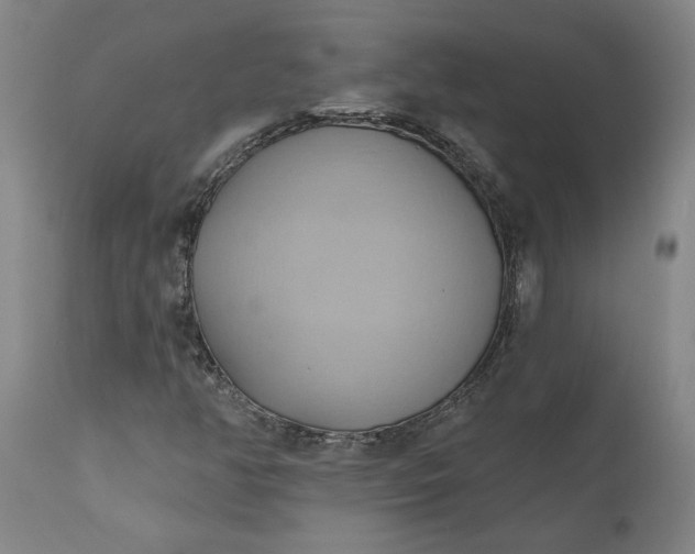 X0000110681350200906261311