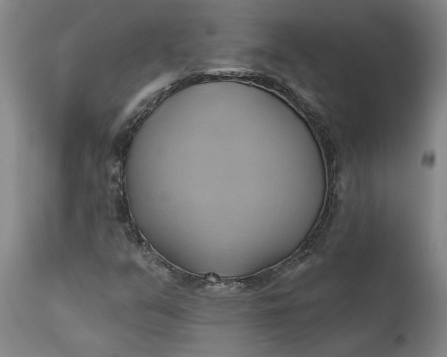 X0000110681351200906261311