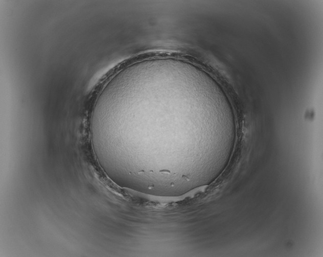 X0000110681352200906261311