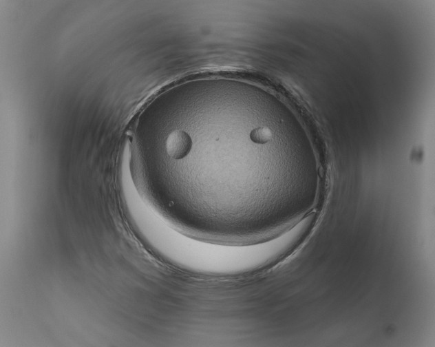 X0000110681353200906261311